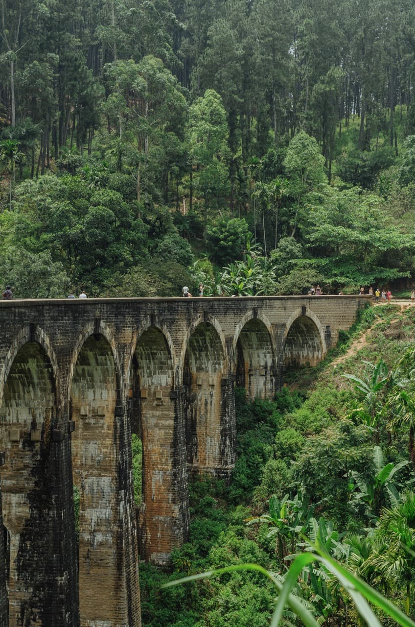 Превью Sri Lanka 2022